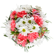 This bouquet, crafted by passionate florists in Wood Green, is a celebration of spring's renewal and the joyful spirit found throughout the area. At the heart, bright white daisies radiate with innocence and light, their yellow-green centers glowing softly amid ruffled coral-pink carnations that bring warmth and depth. Wisps of baby's breath flutter among the blooms, casting dreamy highlights and gentling the transitions between colour and form. Tucked between the blossoms, hints of blush alstroemeria and slender eucalyptus leaves lend a hint of fragrance and tonal richness, just as Alexandra Park brings peaceful greenery to the city. The palette is uplifting and harmonious, reminiscent of Wood Green's lively markets and leafy corners, perfect for marking birthdays, anniversaries, or brightening an ordinary day for someone special. The expertly balanced composition conveys both elegance and exuberance-a visual and emotional tribute to new beginnings and neighborly care. This arrangement, available for local delivery, is a testament to the florist's artistry and the community's shared love of beauty.